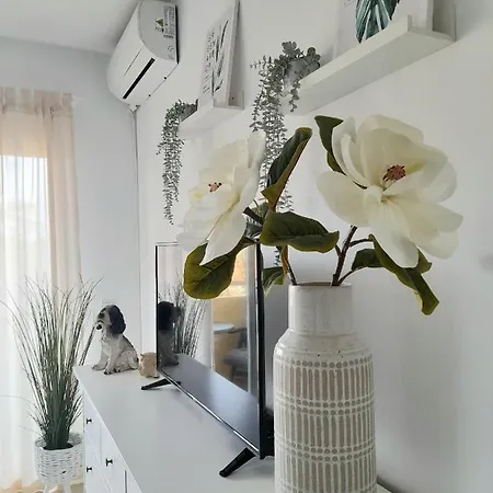 New In Pacos Apartment